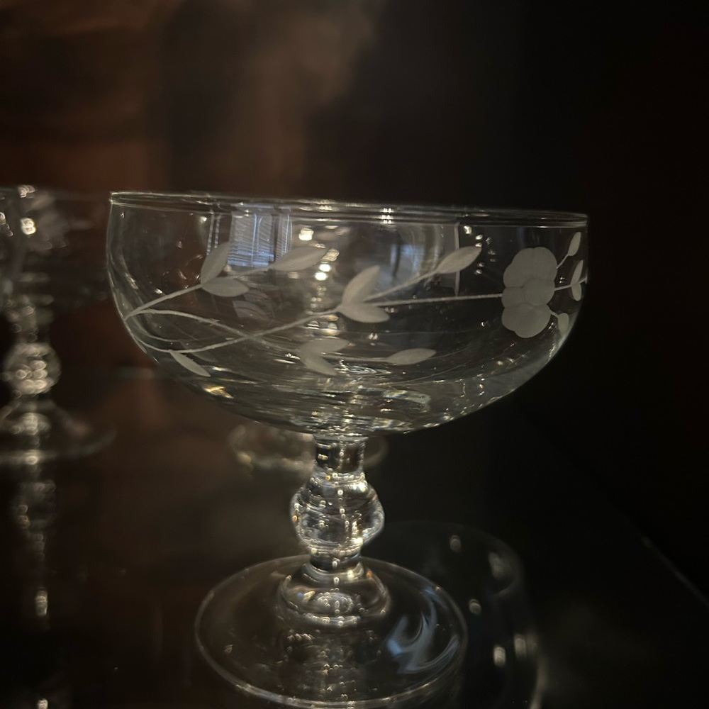 Princess House Elegant Etched Glass Goblet